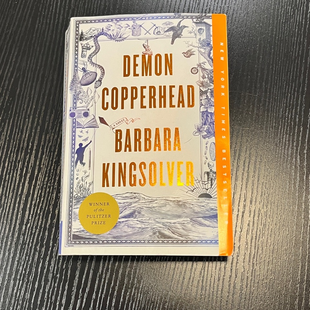 Demon Copperhead by Barbara Kingsolver Book paperback